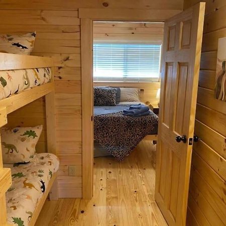 Serene 1Br Cabin Near Nc Z00 With Loft & Waterview Asheboro Dış mekan fotoğraf